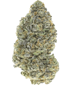 garlic mint sherbet