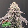 garlic mint sherbet