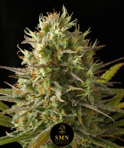 wedding cookies smn genetics semi