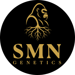 SMN Genetics