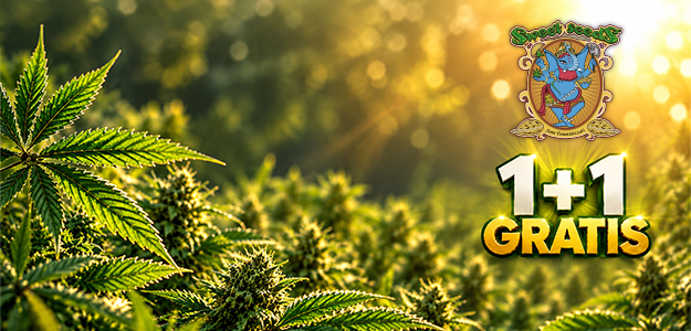 banner promo sweetseeds