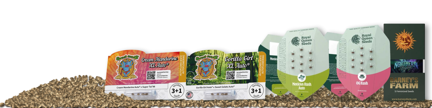 banner semi di cannabis seedsline